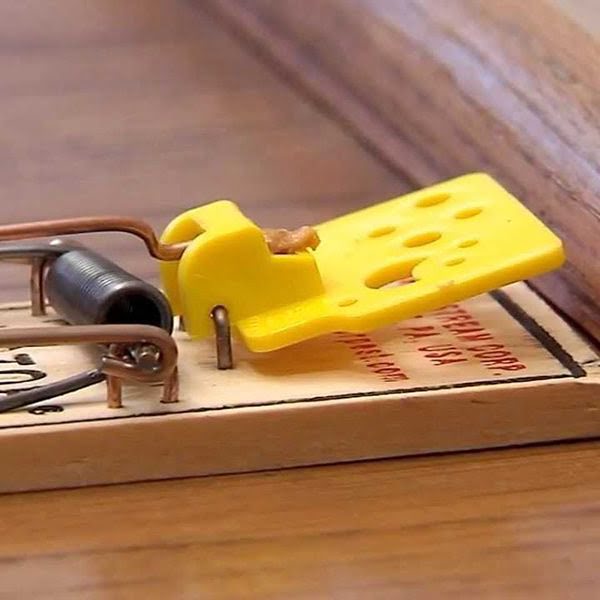 Дератизация